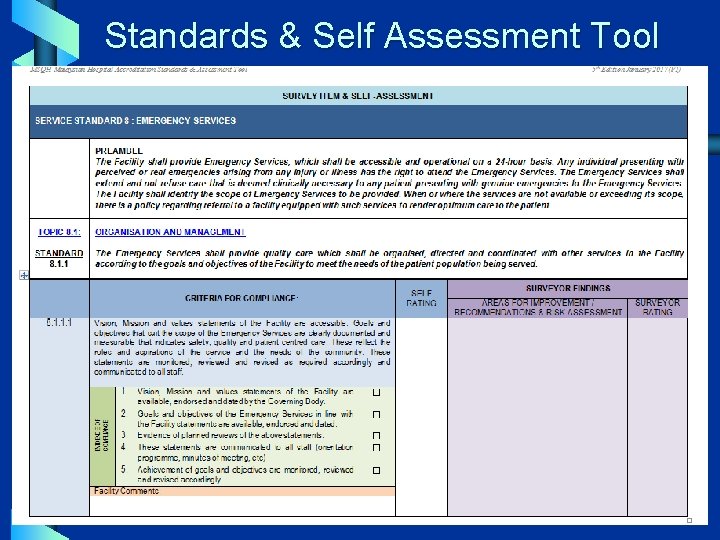  Standards & Self Assessment Tool 