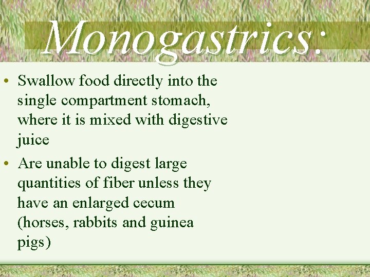 Monogastrics: • Swallow food directly into the single compartment stomach, where it is mixed