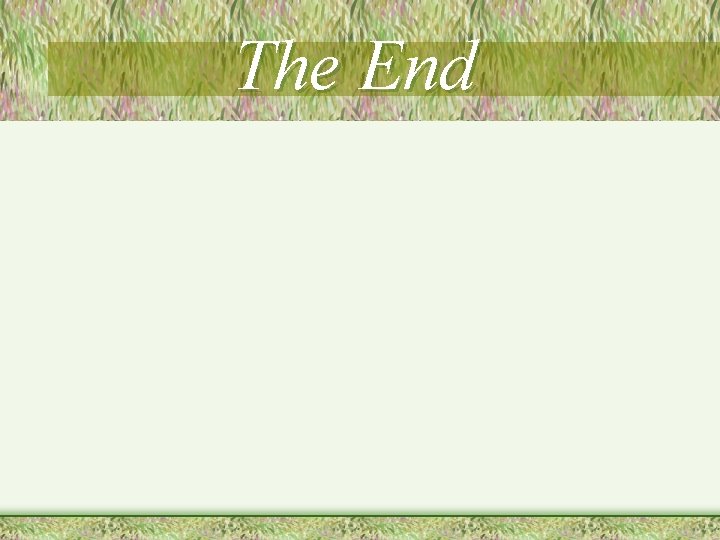 The End 