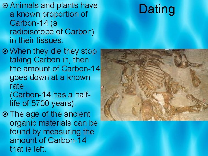  Animals and plants have a known proportion of Carbon-14 (a radioisotope of Carbon)