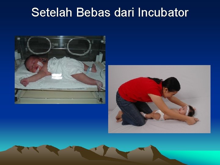 Setelah Bebas dari Incubator 