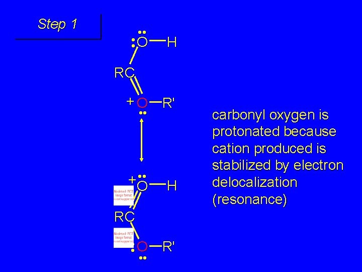 Step 1 • • O H RC + O R' • • +O H