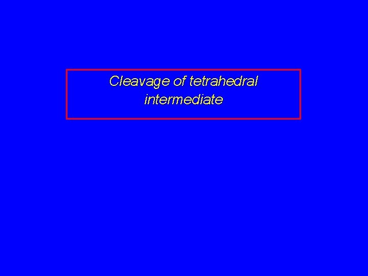 Cleavage of tetrahedral intermediate 