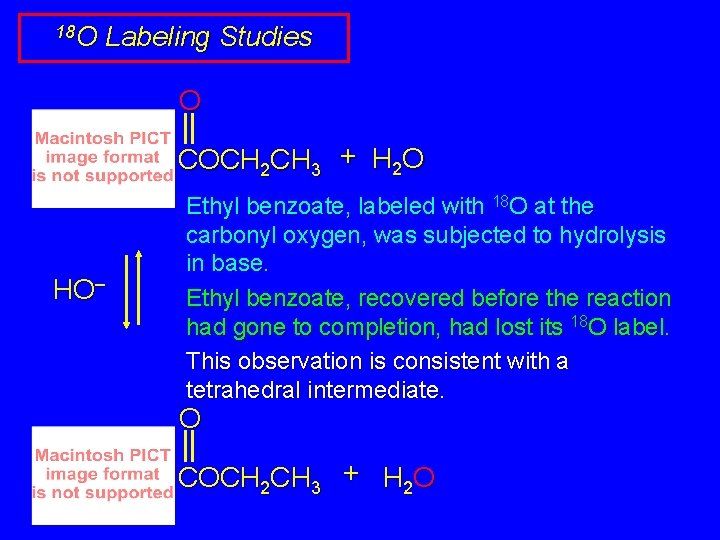 18 O Labeling Studies O COCH 2 CH 3 + H 2 O HO–