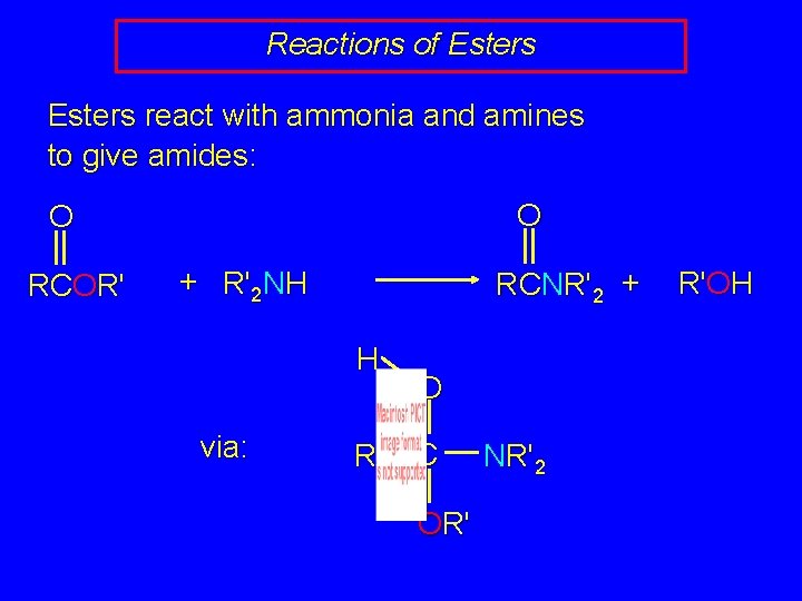 Reactions of Esters react with ammonia and amines to give amides: O O RCOR'