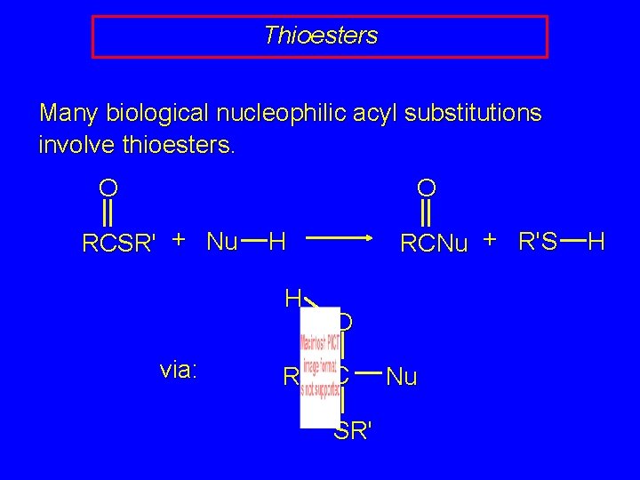 Thioesters Many biological nucleophilic acyl substitutions involve thioesters. O O RCSR' + Nu H