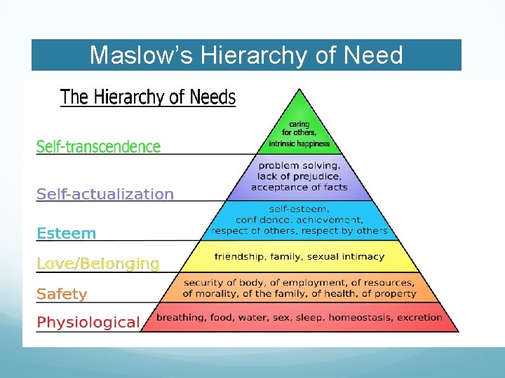 Maslow’s Hierarchy of Need 