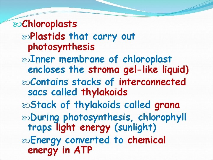  Chloroplasts Plastids that carry out photosynthesis Inner membrane of chloroplast encloses the stroma