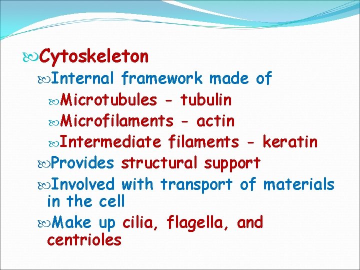  Cytoskeleton Internal framework made of Microtubules - tubulin Microfilaments - actin Intermediate filaments