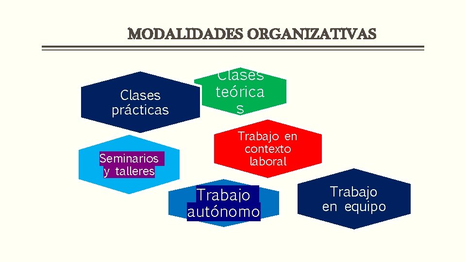MODALIDADES ORGANIZATIVAS Clases prácticas Seminarios y talleres Clases teórica s Trabajo en contexto laboral