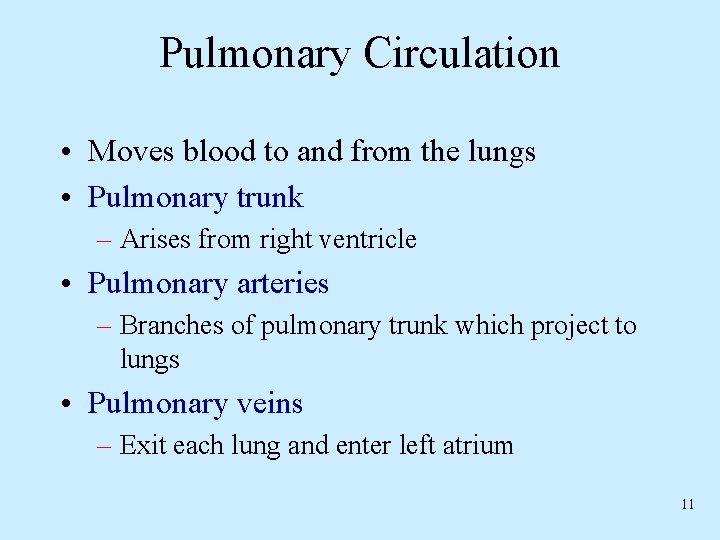 Pulmonary Circulation • Moves blood to and from the lungs • Pulmonary trunk –