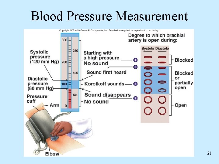 Blood Pressure Measurement 21 