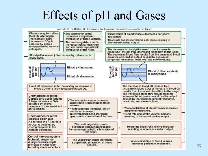 Effects of p. H and Gases 38 