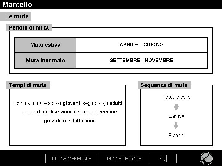 Mantello Le mute Periodi di muta Muta estiva APRILE – GIUGNO Muta invernale SETTEMBRE