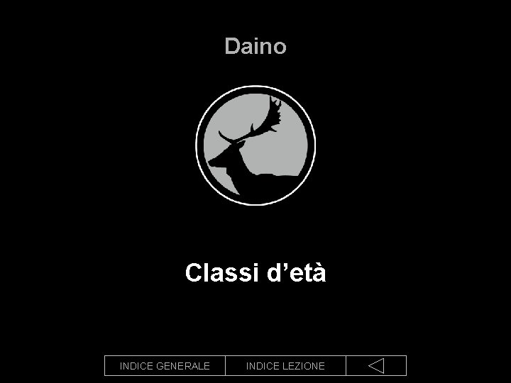 Daino Classi d’età INDICE GENERALE INDICE LEZIONE 