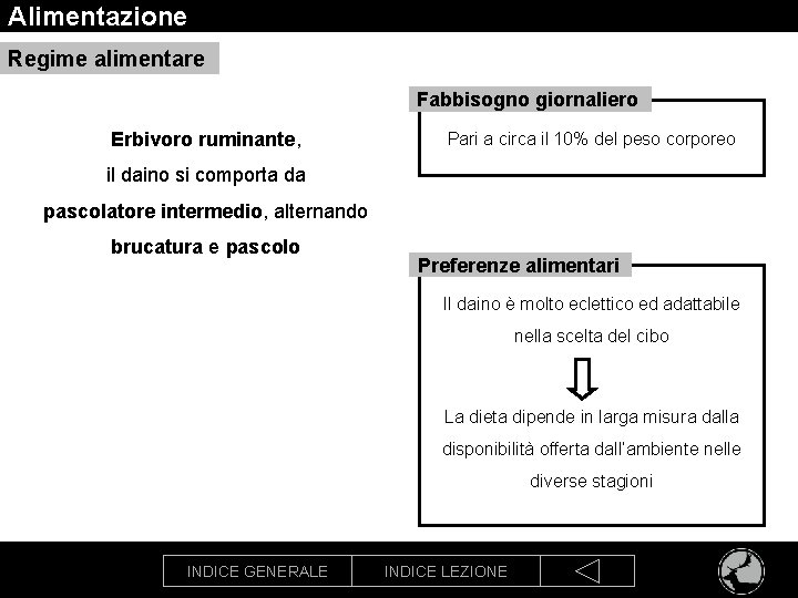 Alimentazione Regime alimentare Fabbisogno giornaliero Erbivoro ruminante, Pari a circa il 10% del peso