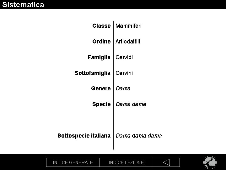 Sistematica Classe Mammiferi Ordine Artiodattili Famiglia Cervidi Sottofamiglia Cervini Genere Dama Specie Dama dama