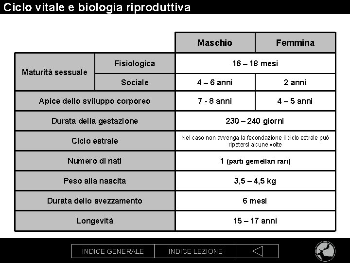 Ciclo vitale e biologia riproduttiva Maschio Fisiologica Femmina 16 – 18 mesi Maturità sessuale