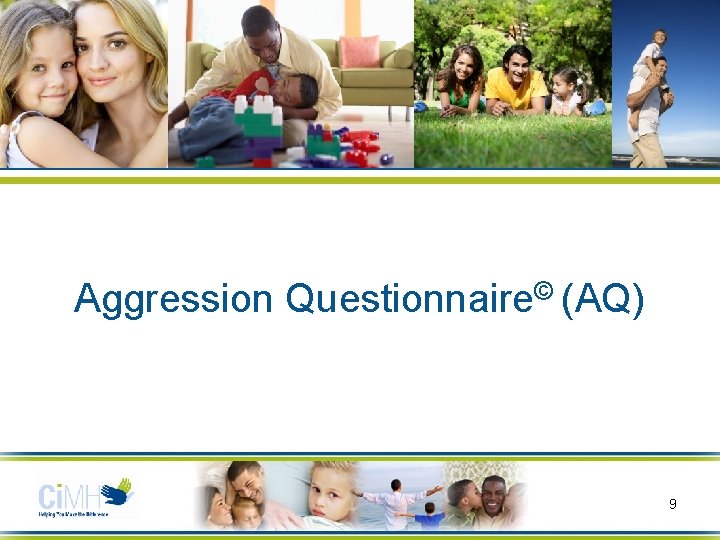 Aggression Questionnaire© (AQ) 9 