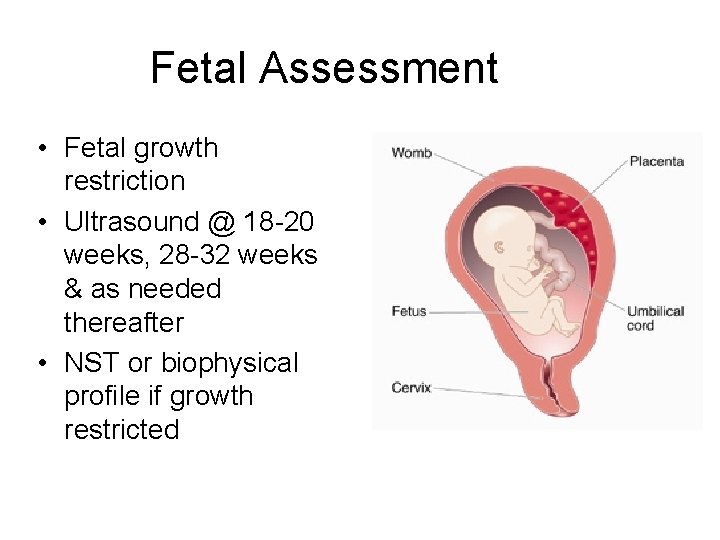 Fetal Assessment • Fetal growth restriction • Ultrasound @ 18 -20 weeks, 28 -32