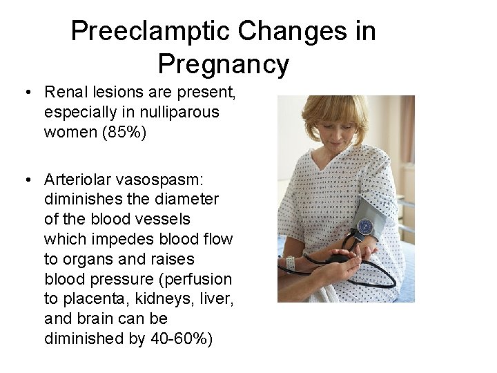 Preeclamptic Changes in Pregnancy • Renal lesions are present, especially in nulliparous women (85%)