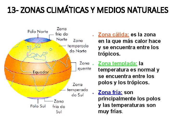 13 - ZONAS CLIMÁTICAS Y MEDIOS NATURALES ● ● ● Zona cálida: es la