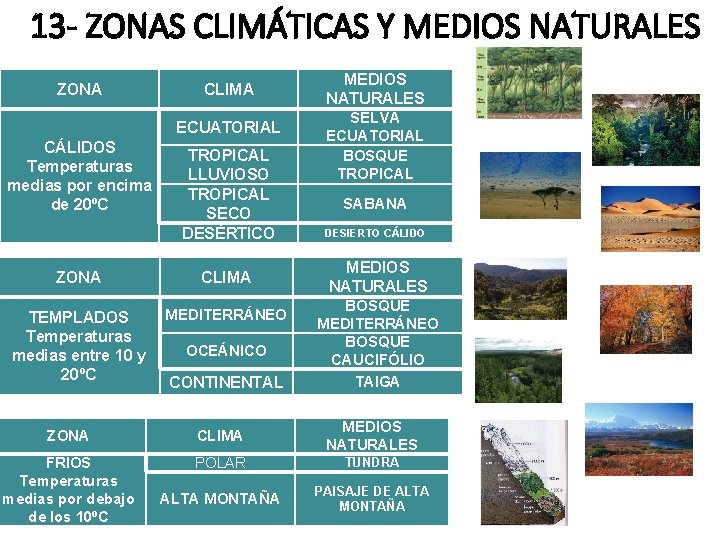 13 - ZONAS CLIMÁTICAS Y MEDIOS NATURALES ZONA CLIMA ECUATORIAL CÁLIDOS Temperaturas medias por