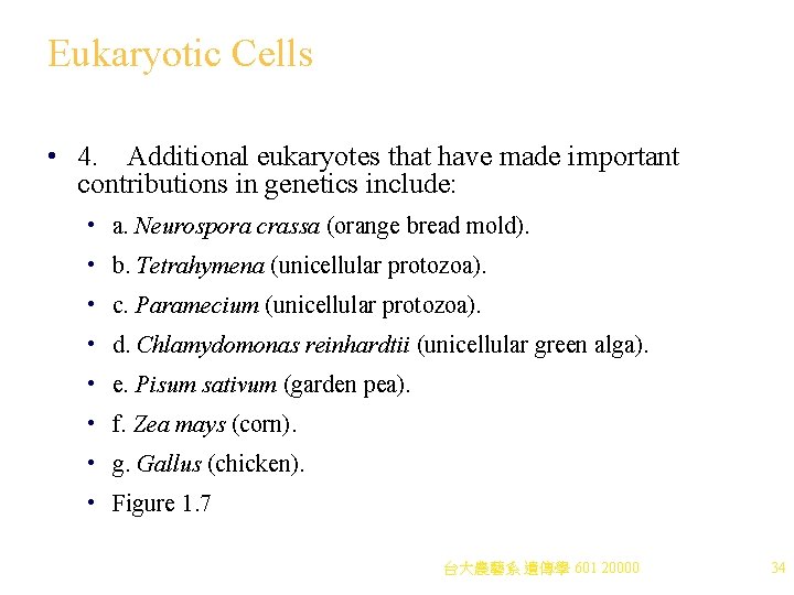 Eukaryotic Cells • 4. Additional eukaryotes that have made important contributions in genetics include: