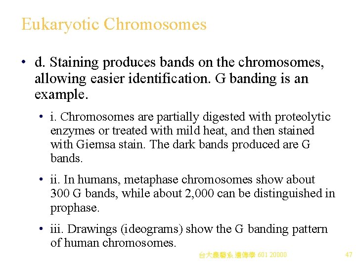 Eukaryotic Chromosomes • d. Staining produces bands on the chromosomes, allowing easier identification. G