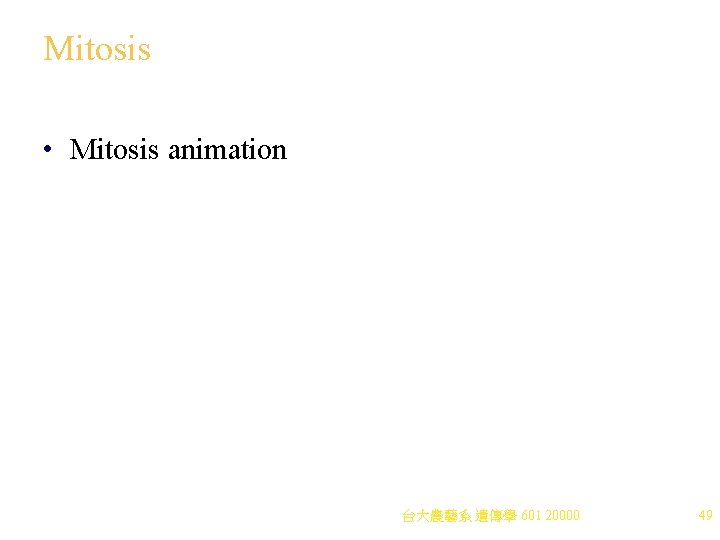 Mitosis • Mitosis animation 台大農藝系 遺傳學 601 20000 49 
