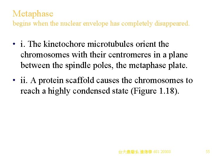 Metaphase begins when the nuclear envelope has completely disappeared. • i. The kinetochore microtubules