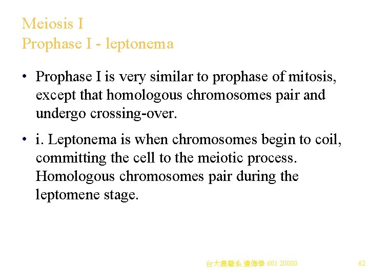 Meiosis I Prophase I - leptonema • Prophase I is very similar to prophase