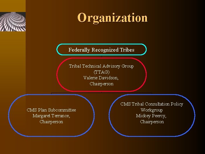 Organization Federally Recognized Tribes Tribal Technical Advisory Group (TTAG) Valerie Davidson, Chairperson CMS Plan
