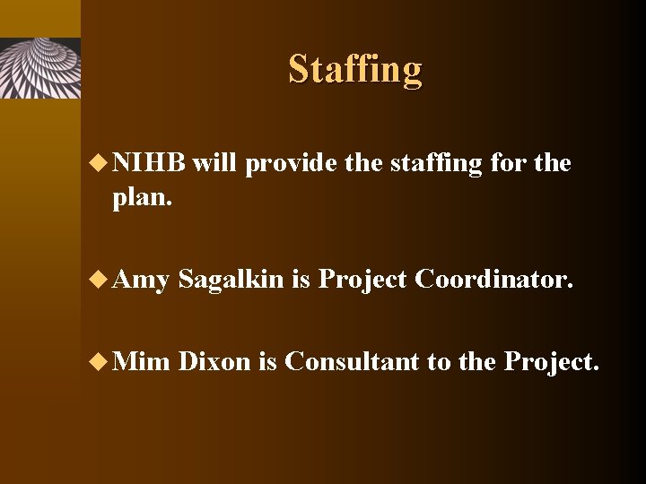 Staffing u NIHB will provide the staffing for the plan. u Amy Sagalkin is