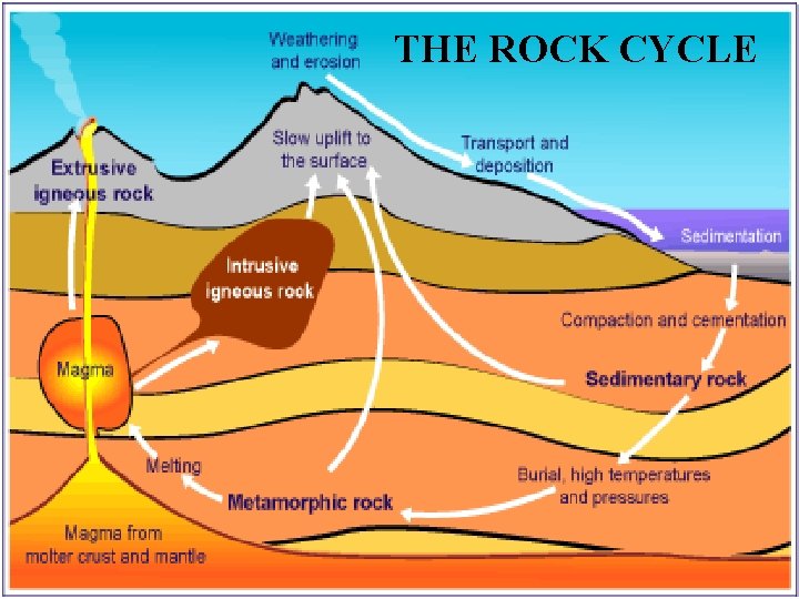 THE ROCK CYCLE The Rock Cycle 