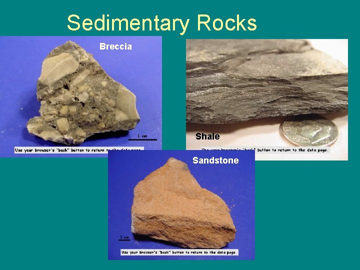 Sedimentary Rocks Breccia Shale Sandstone 