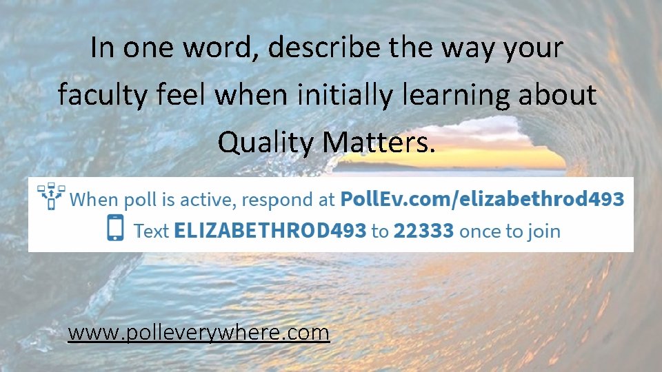 In one word, describe the way your faculty feel when initially learning about Quality