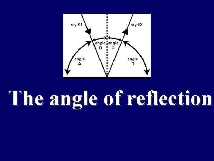 Maintaining conditions The angle of reflection suitable for survival 