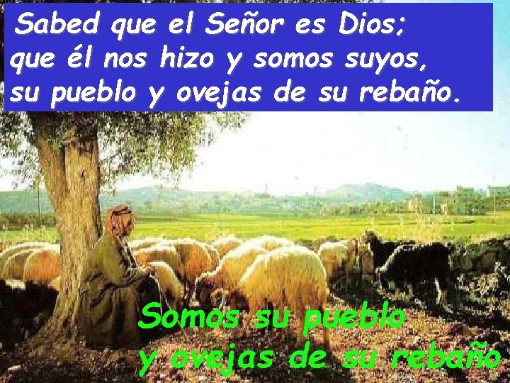 Sabed que el Señor es Dios; que él nos hizo y somos suyos, su