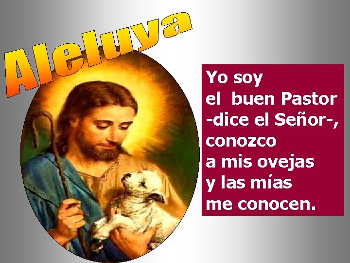 Yo soy el buen Pastor -dice el Señor-, conozco a mis ovejas y las Yo soy el buen Pastor -dice el Señor-, conozco a mis ovejas y las