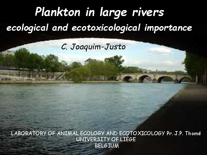 Plankton in large rivers ecological and ecotoxicological importance C. Joaquim-Justo LABORATORY OF ANIMAL ECOLOGY