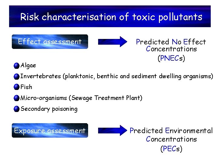 Risk characterisation of toxic pollutants Effect assessment Algae Predicted No Effect Concentrations (PNECs) Invertebrates