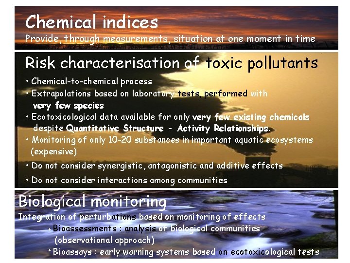 Chemical indices Provide, through measurements, situation at one moment in time Risk characterisation of