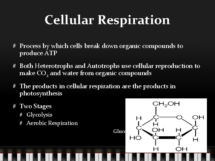 Cellular Respiration Process by which cells break down organic compounds to produce ATP Both