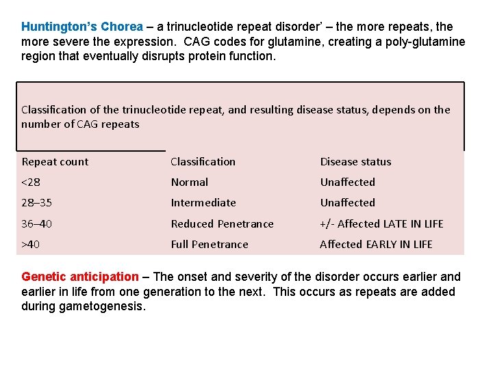 Huntington’s Chorea – a trinucleotide repeat disorder’ – the more repeats, the more severe