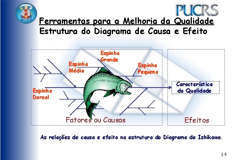 Ferramentas para a Melhoria da Qualidade Estrutura do Diagrama de Causa e Efeito Espinha