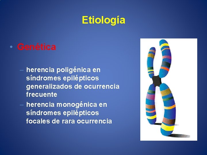 Etiología • Genética – herencia poligénica en síndromes epilépticos generalizados de ocurrencia frecuente –