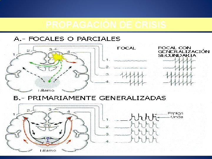 PROPAGACIÓN DE CRISIS 