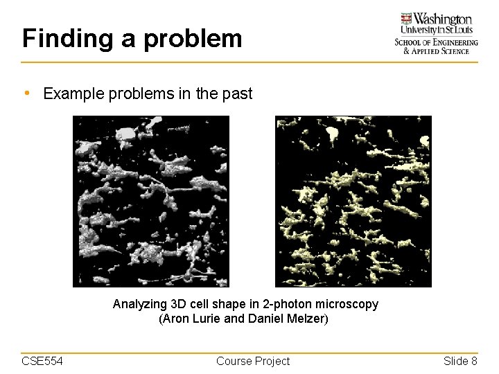 Finding a problem • Example problems in the past Analyzing 3 D cell shape