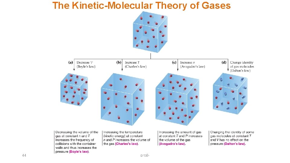 The Kinetic-Molecular Theory of Gases 44 גזים 8 - 